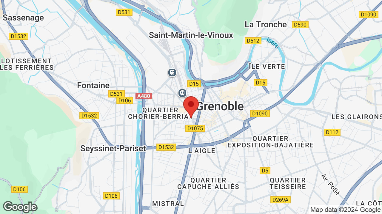 Google map