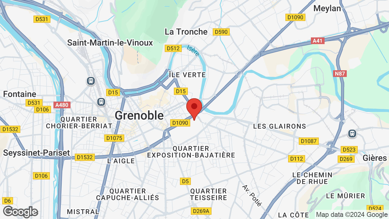 Google map