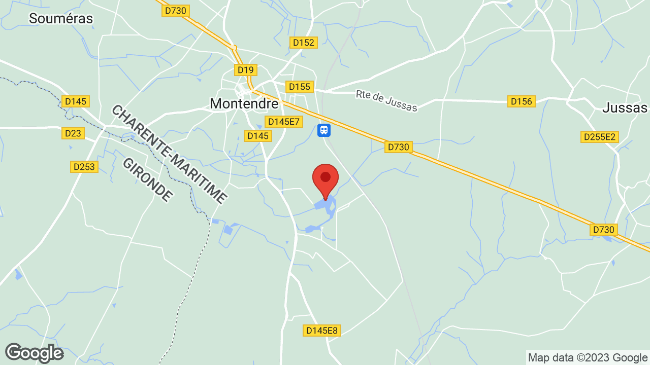Google map