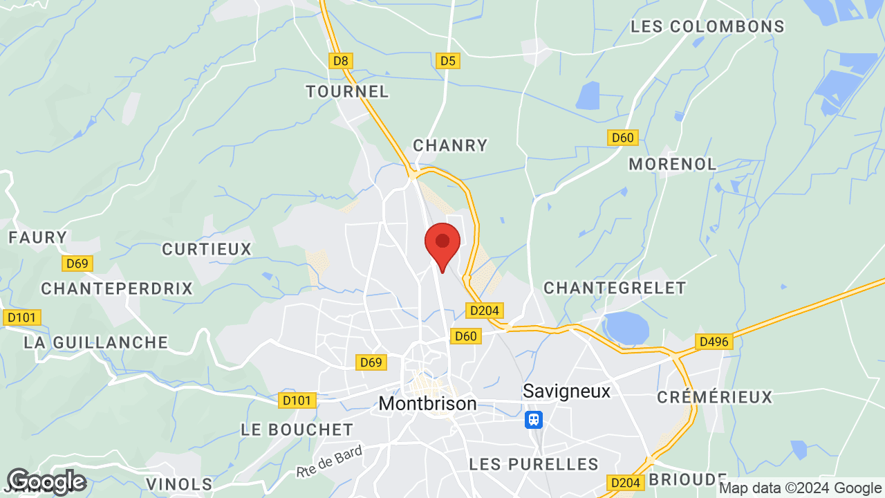 Google map