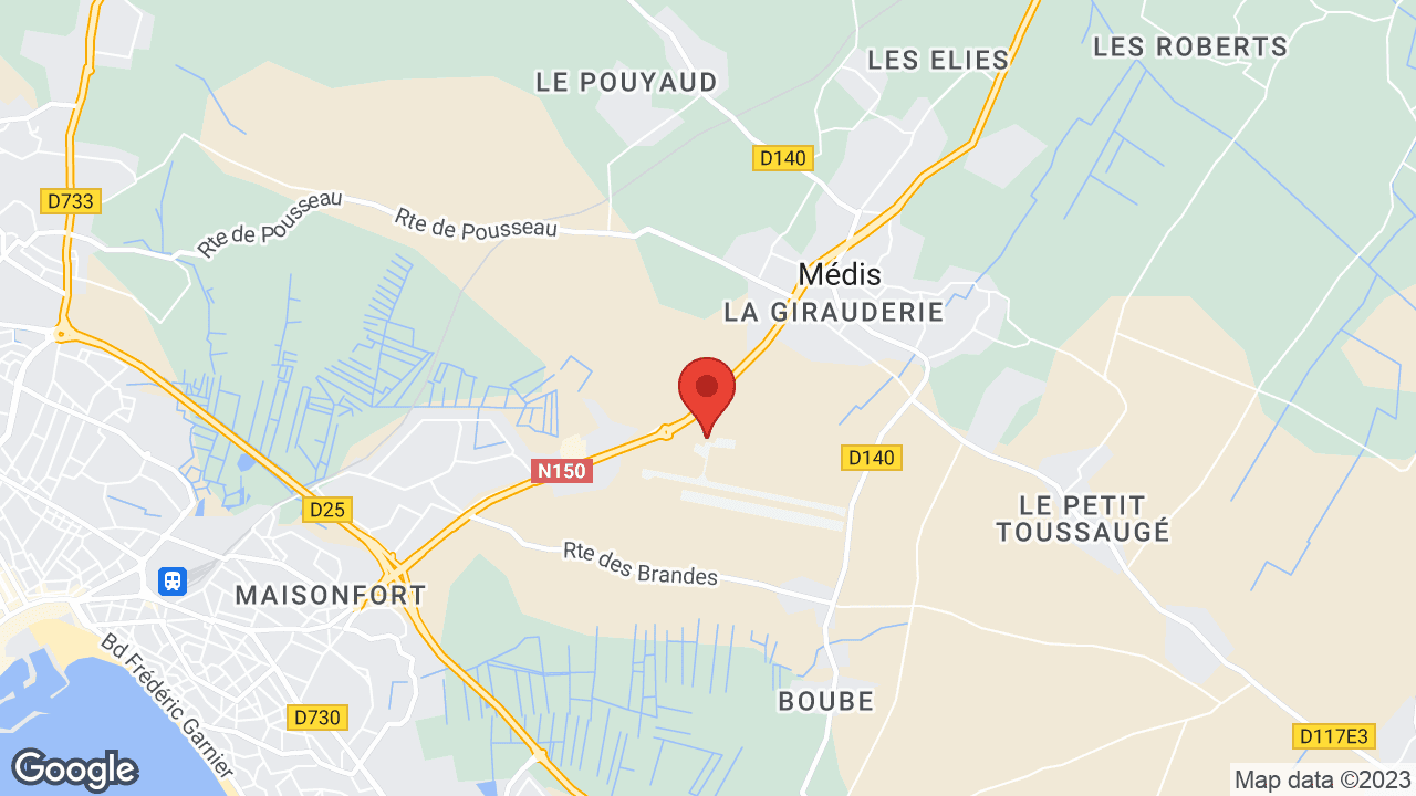Google map