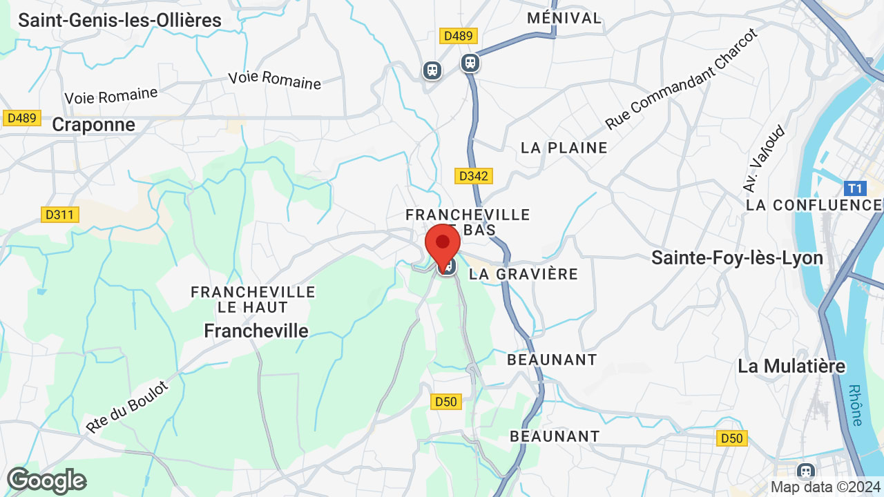 Google map