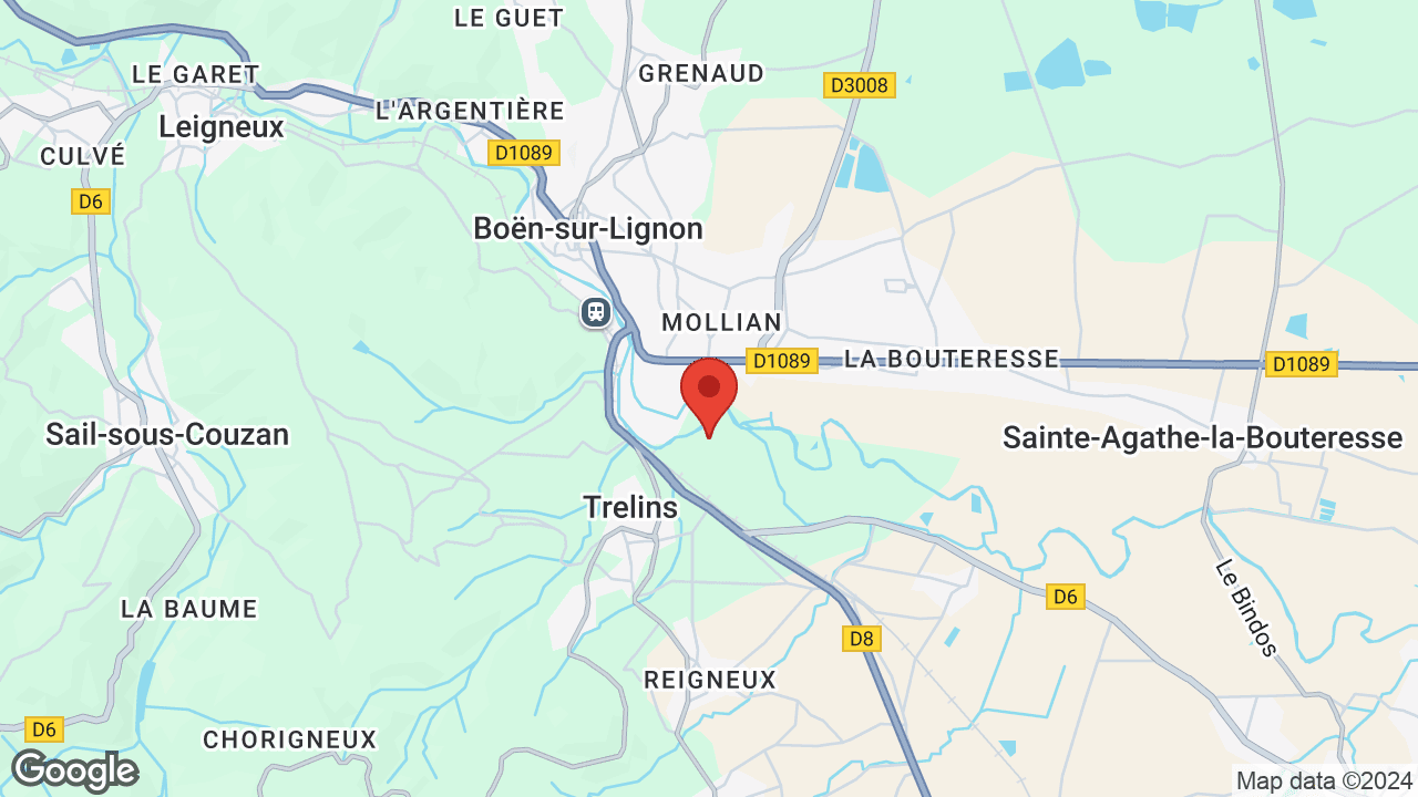 Google map