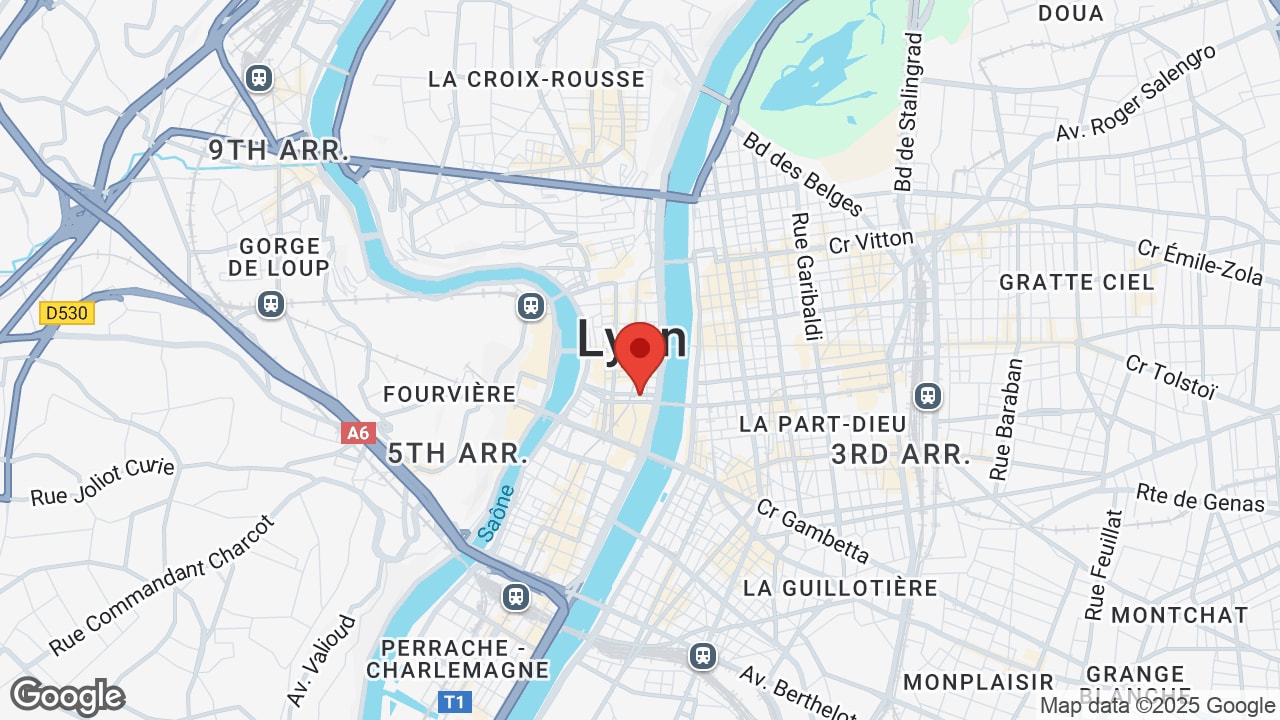 Google map
