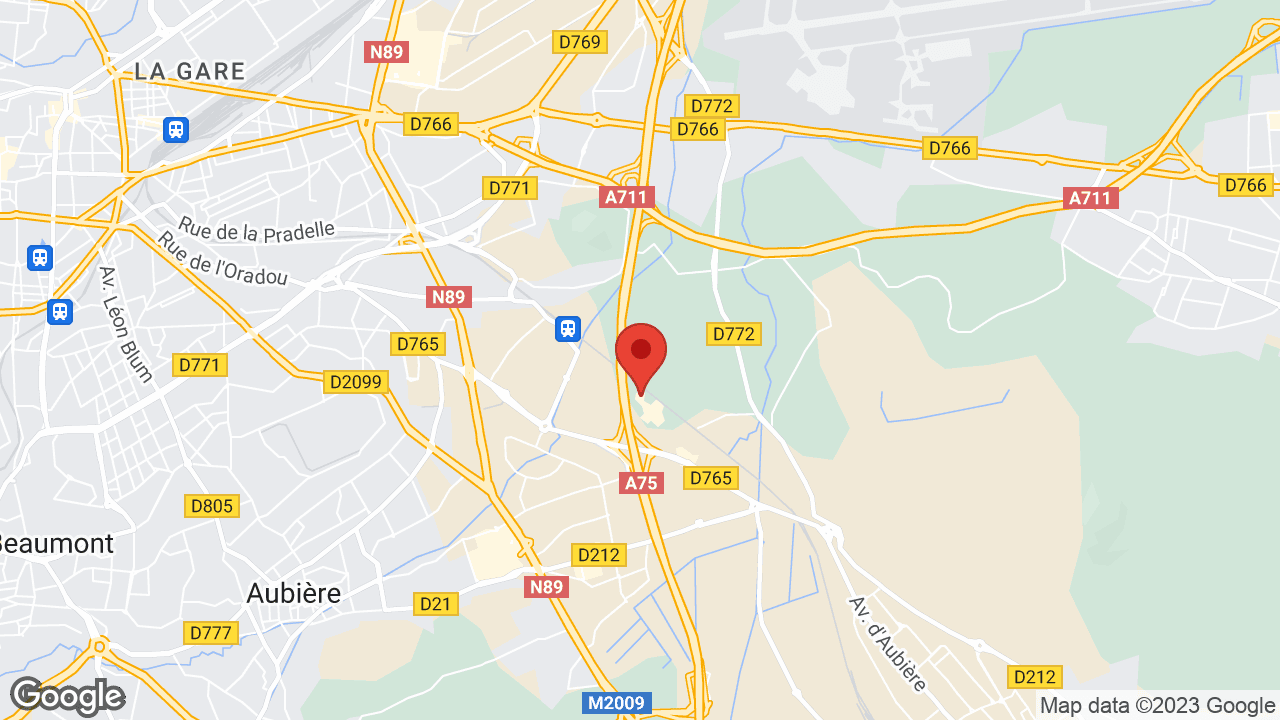 Google map