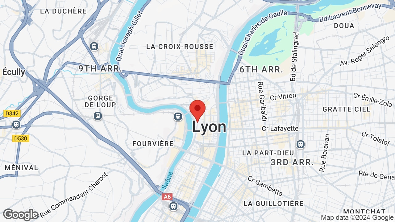 Google map
