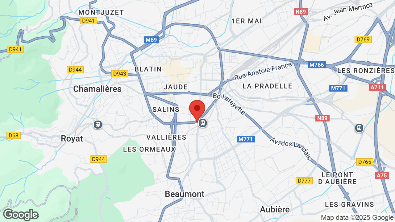Google map