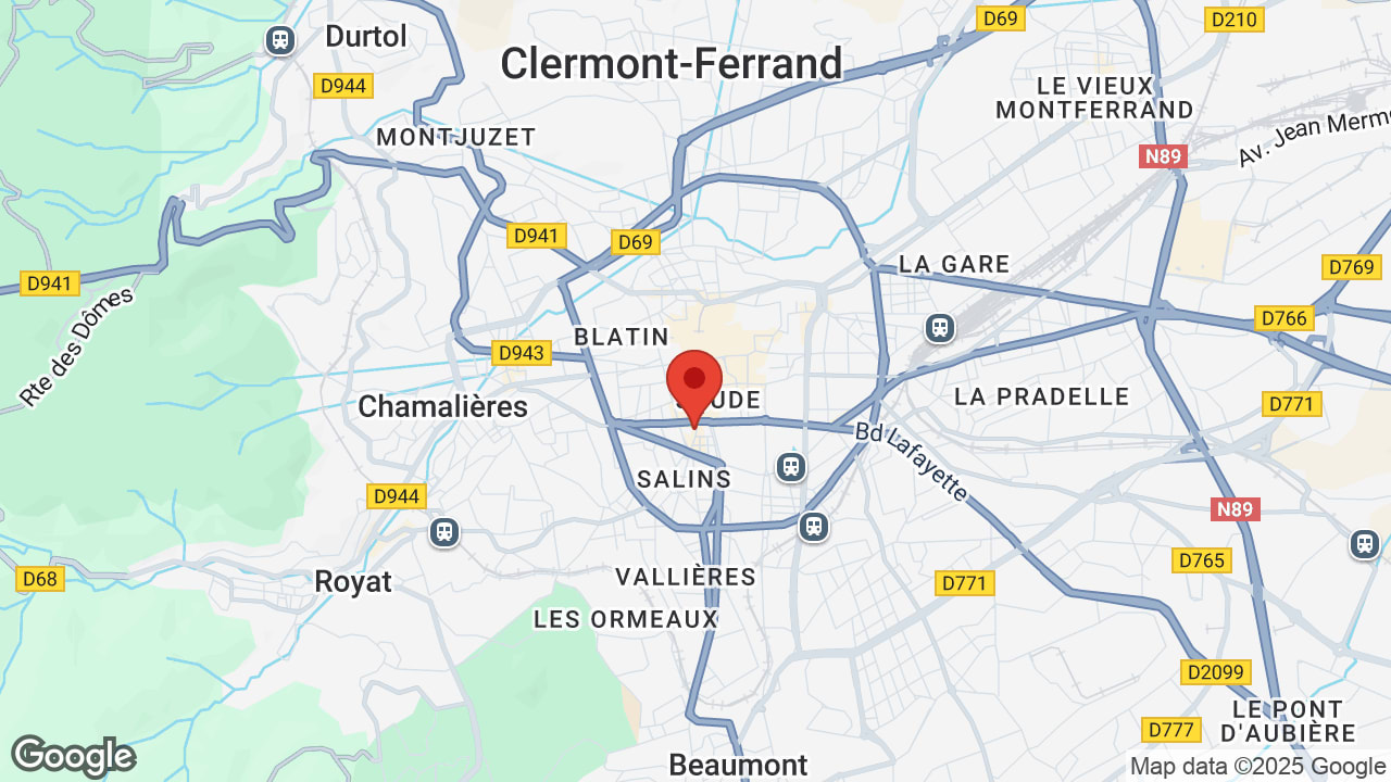 Google map