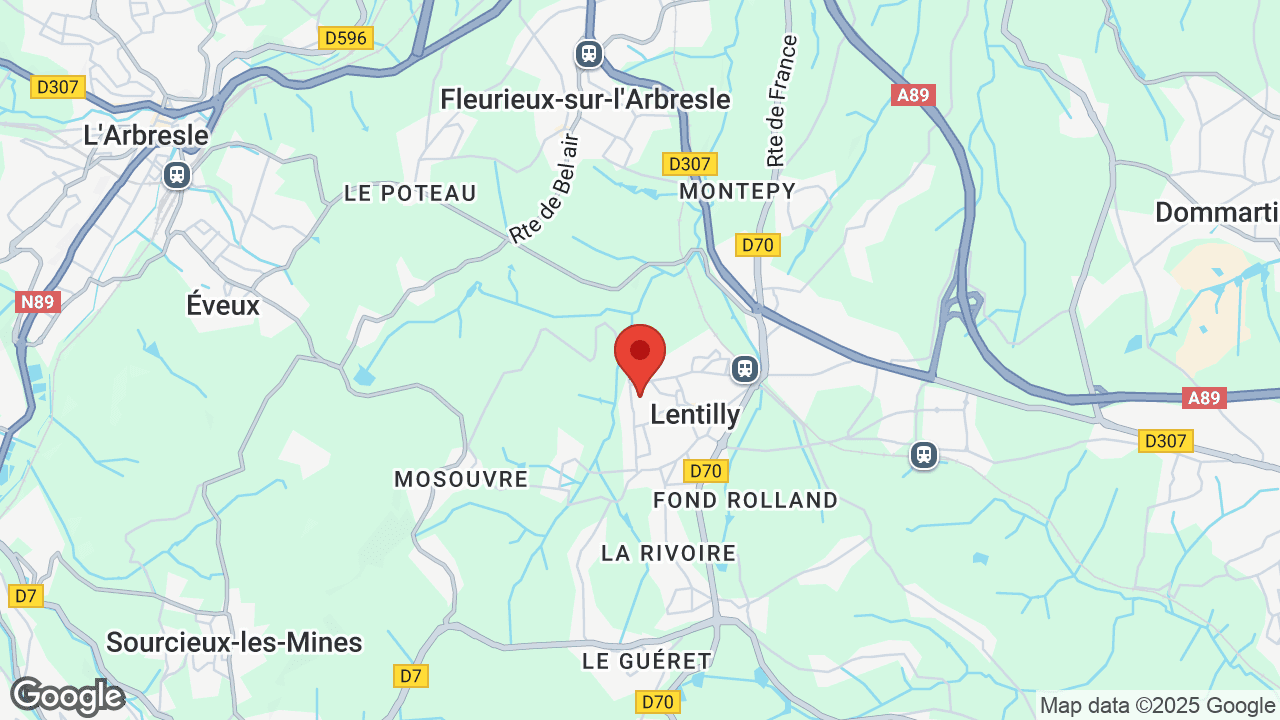 Google map