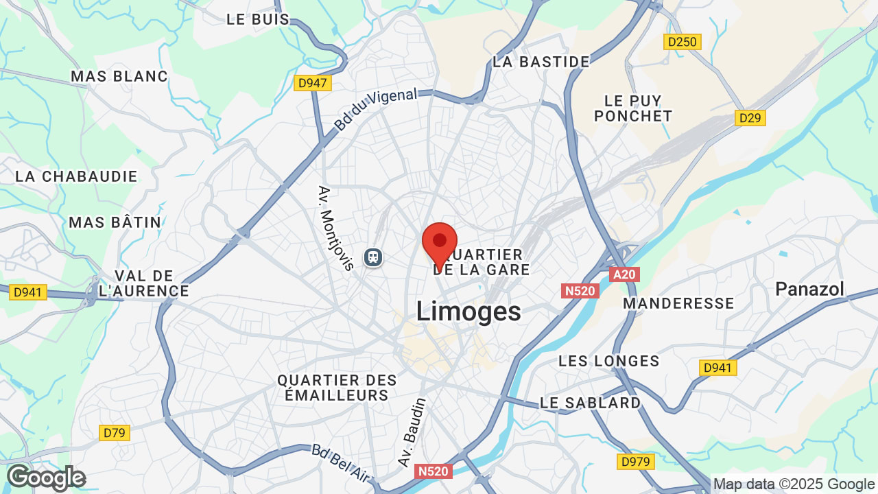 Google map