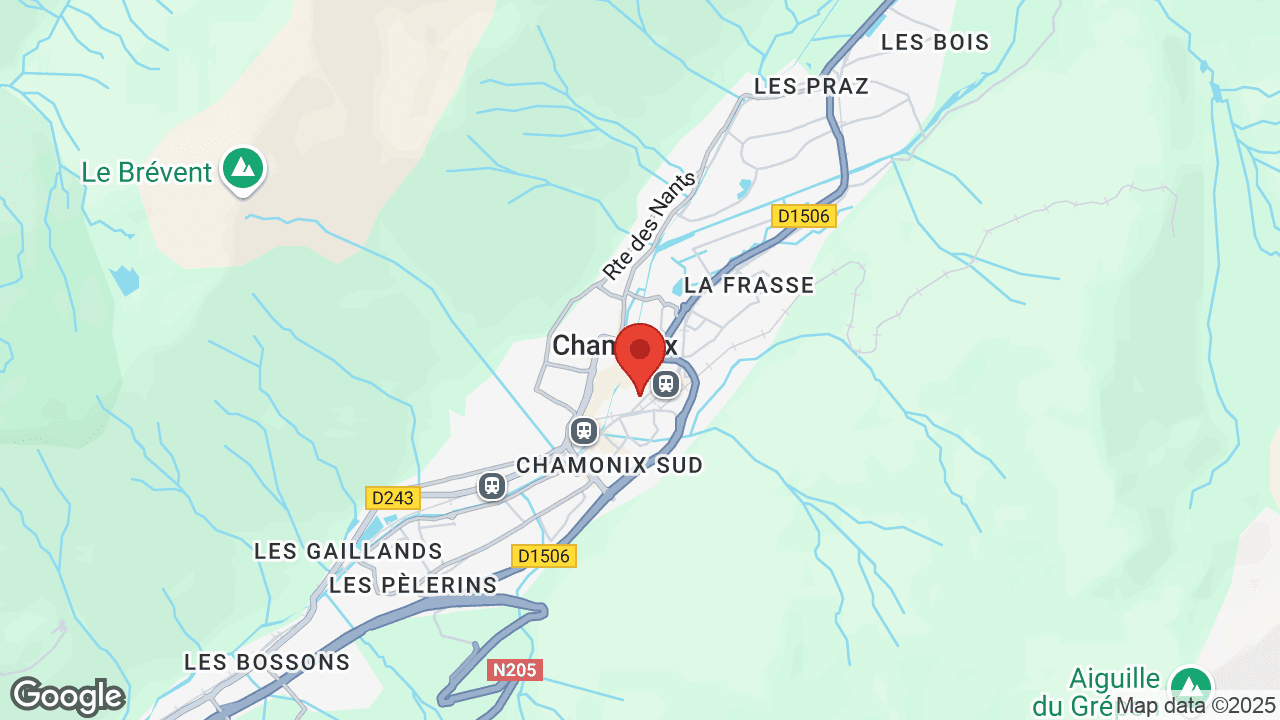 Google map