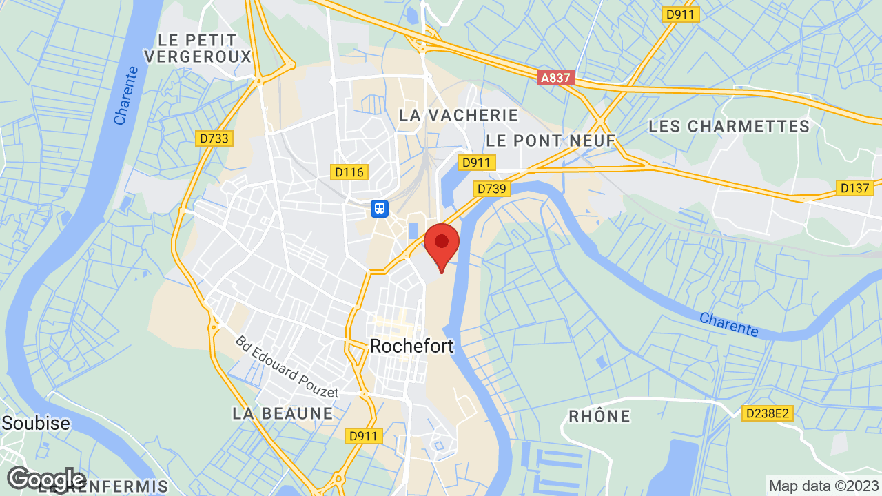 Google map