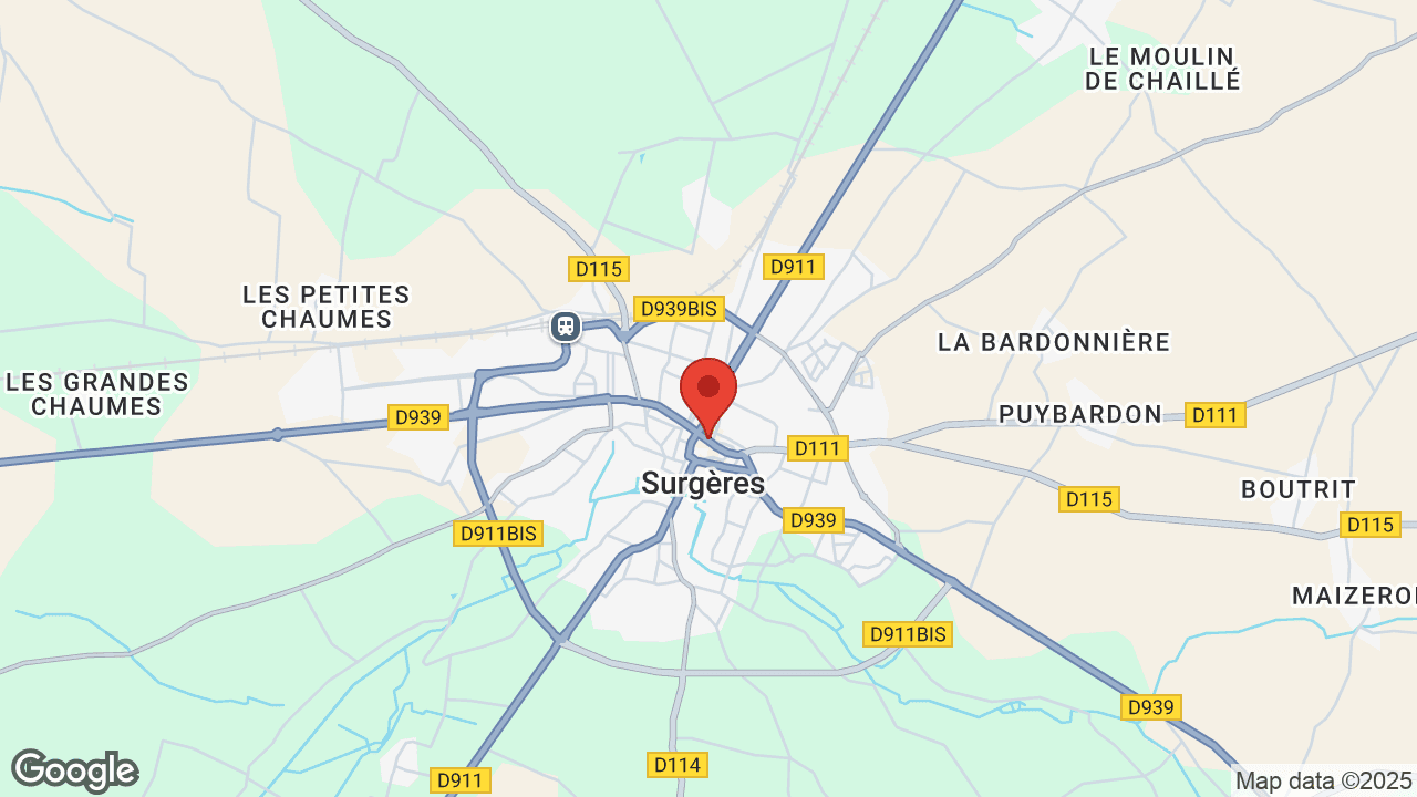 Google map