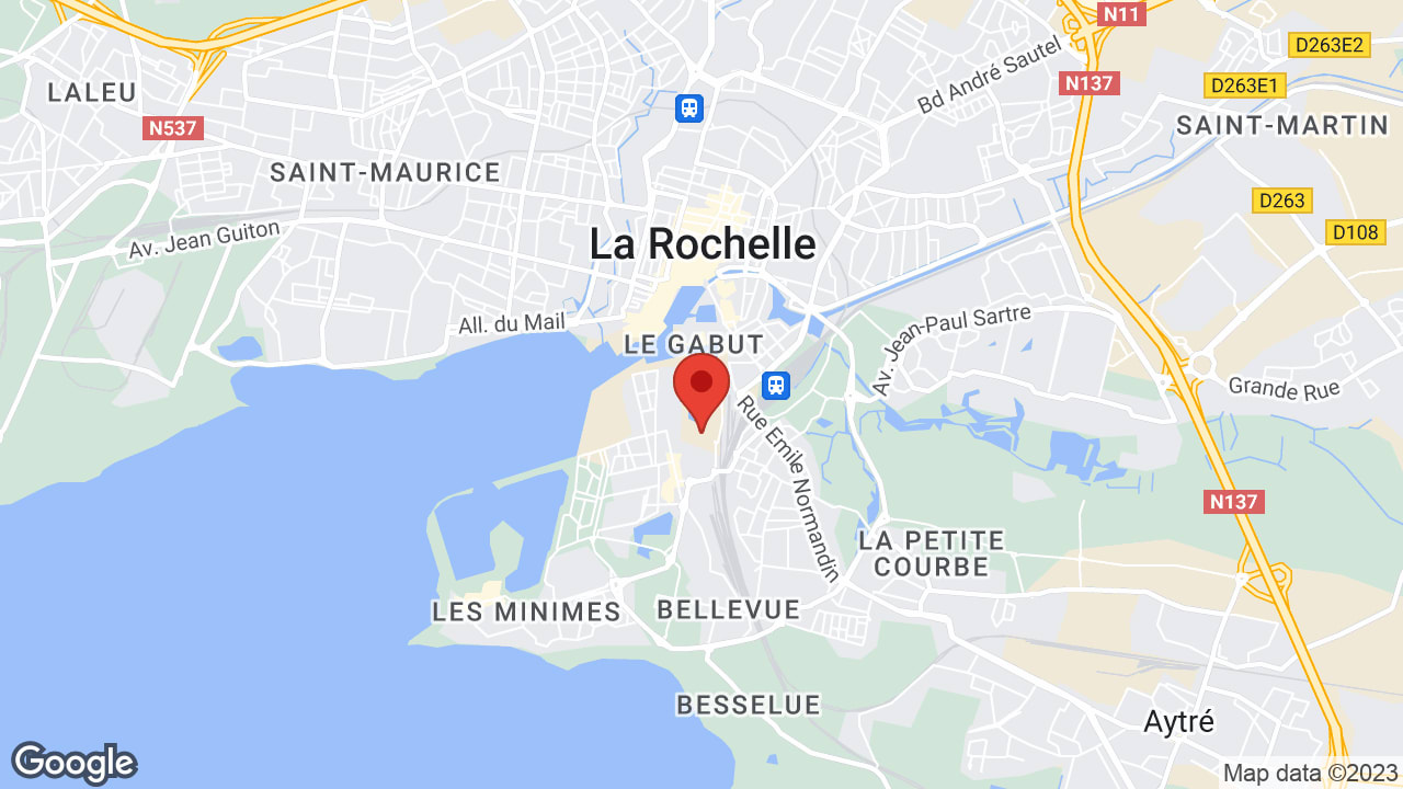 Google map