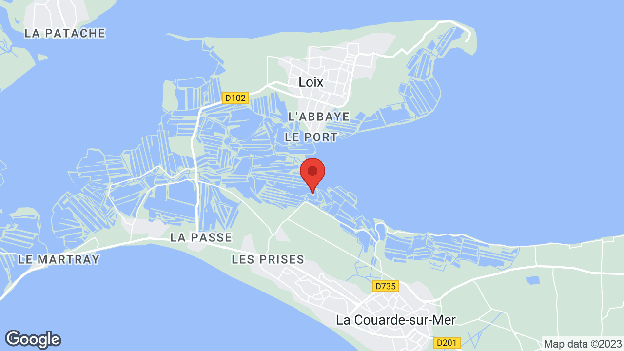 Google map