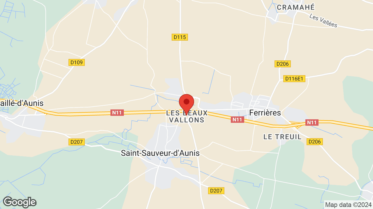 Google map