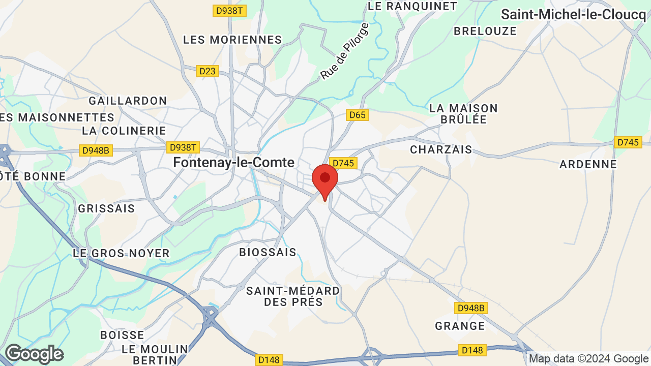 Google map