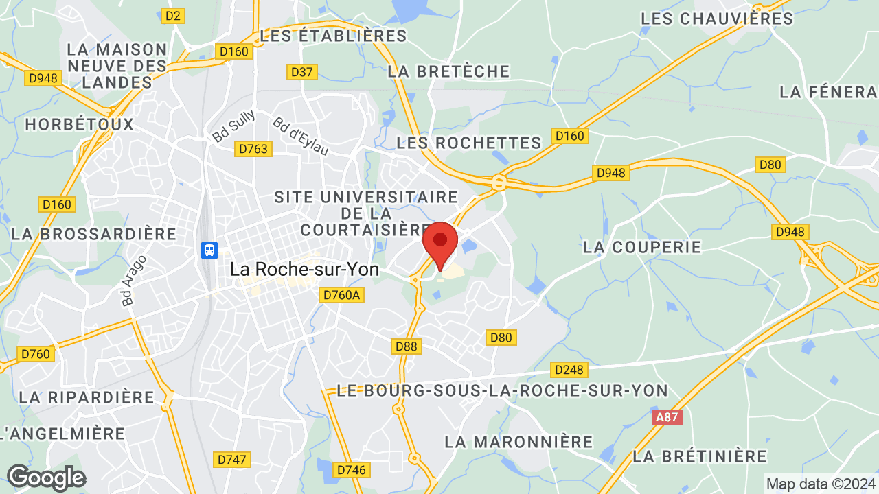 Google map