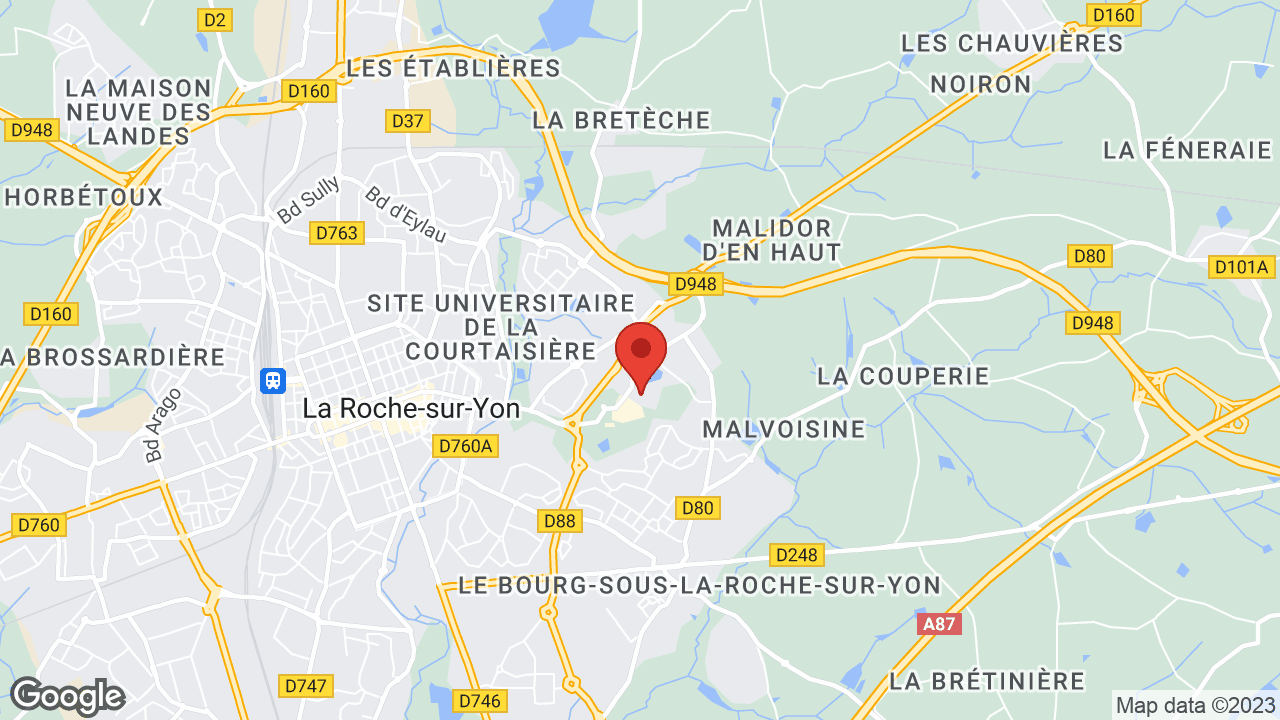 Google map