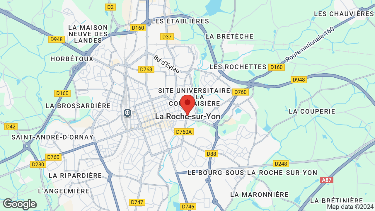Google map