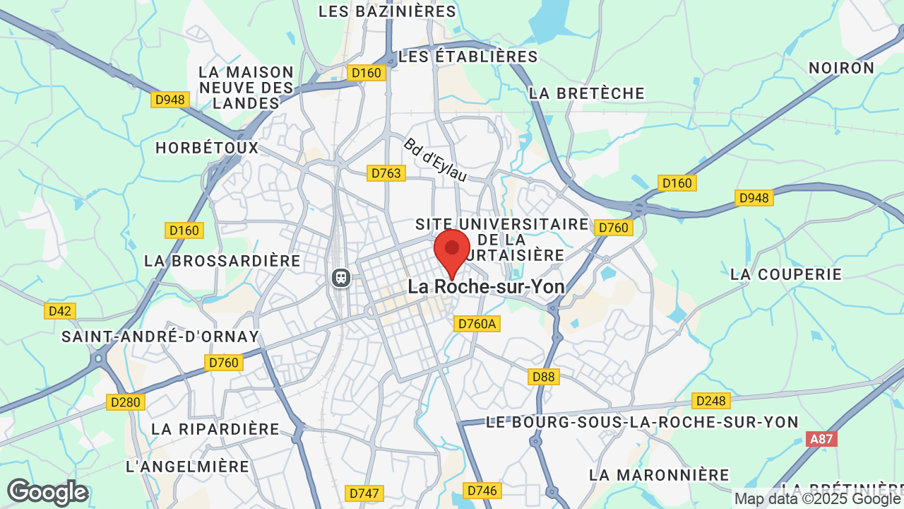 Google map