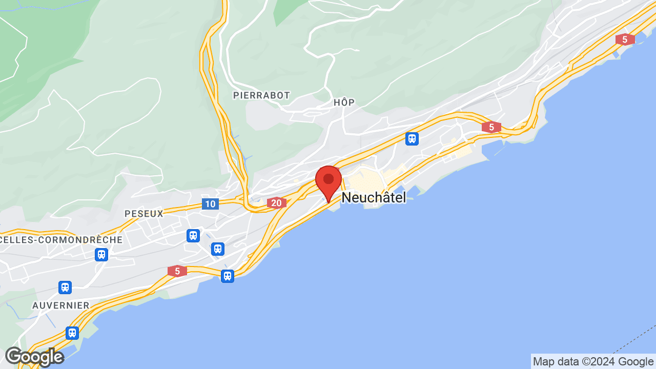 Google map