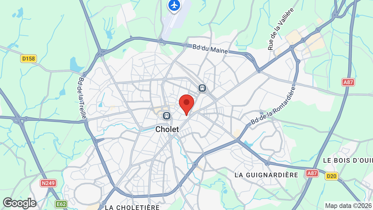 Google map