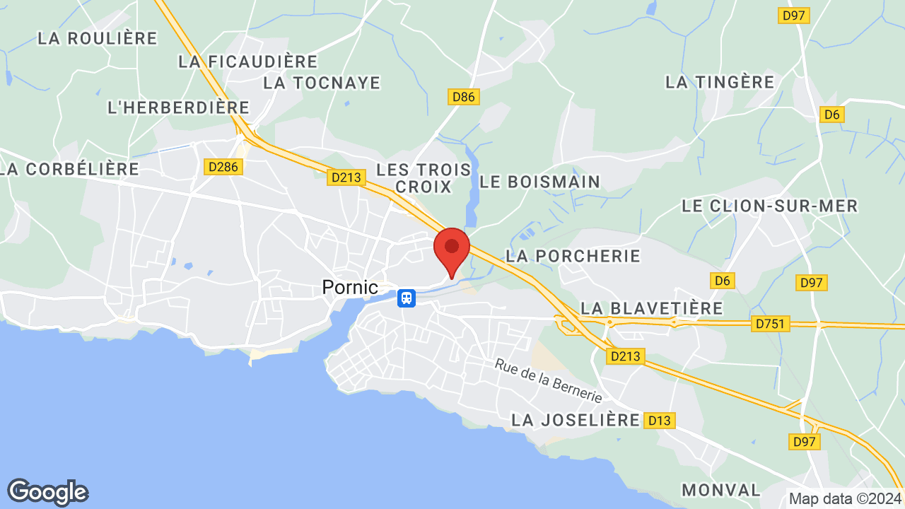 Google map