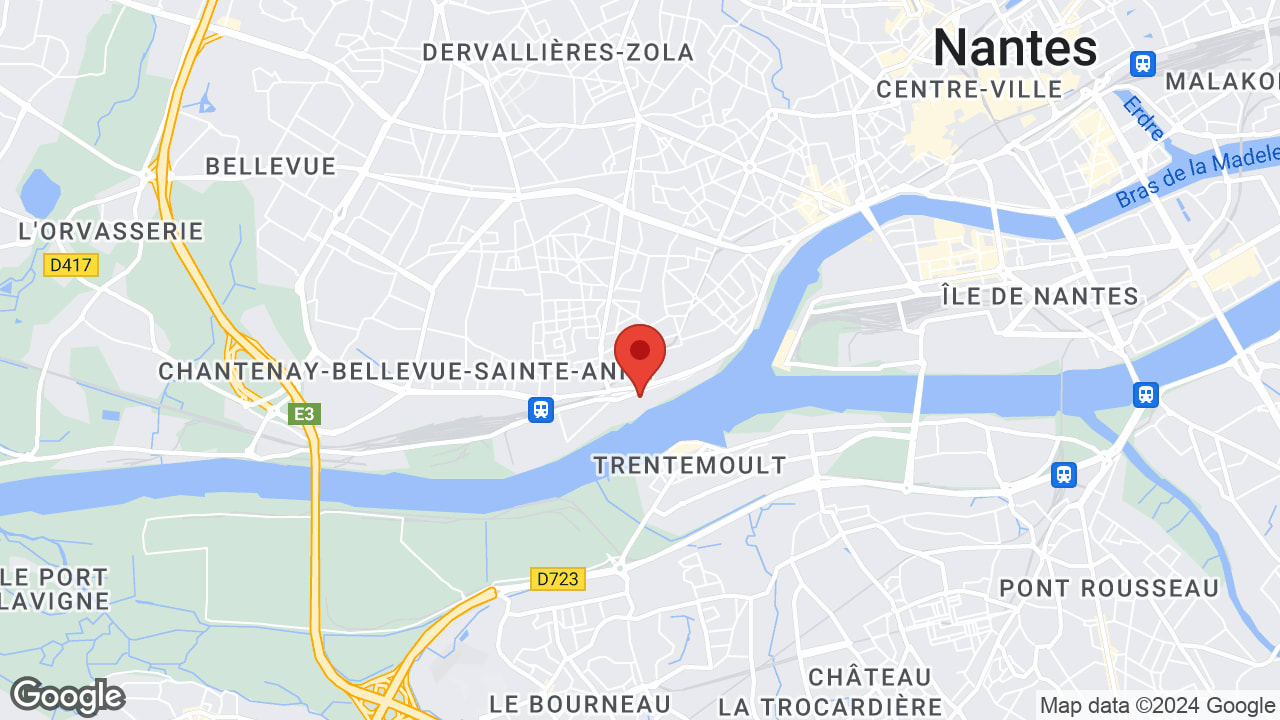 Google map