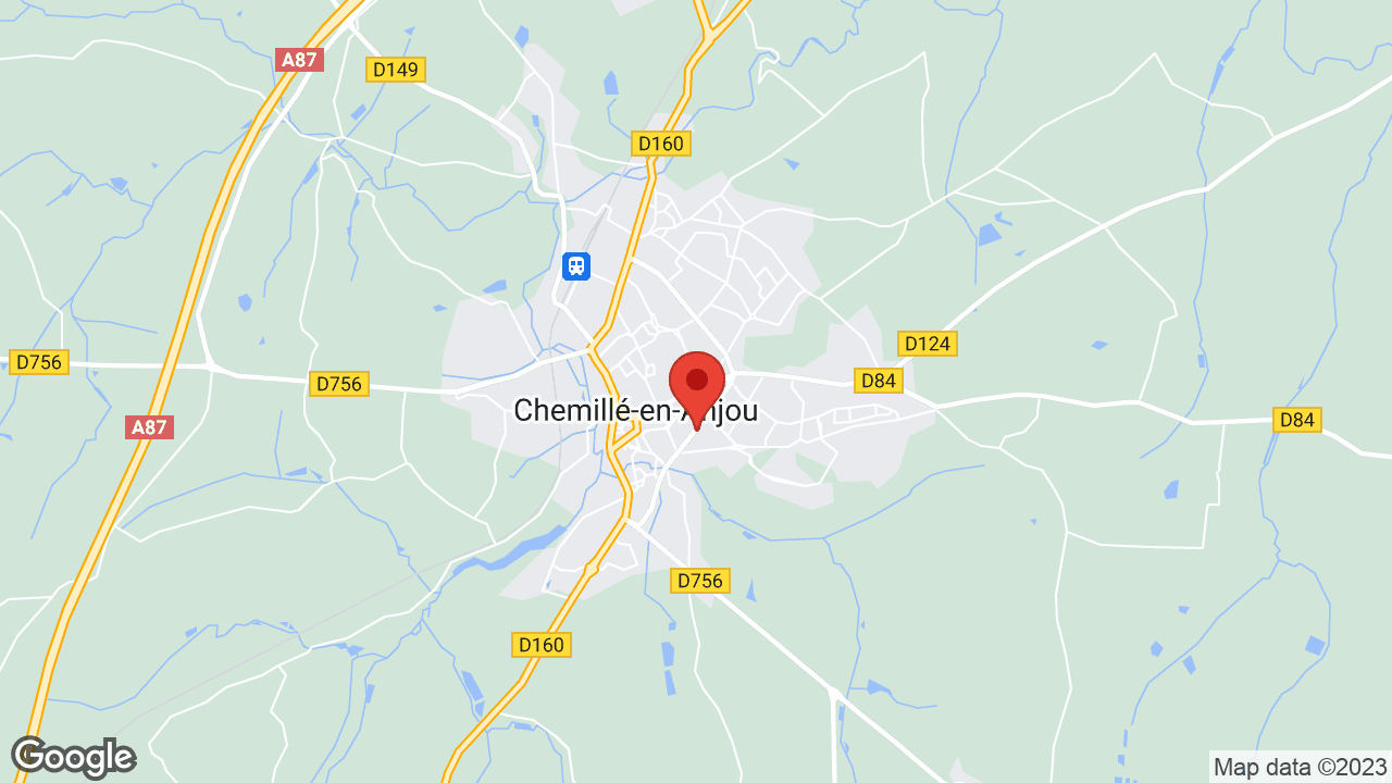 Google map