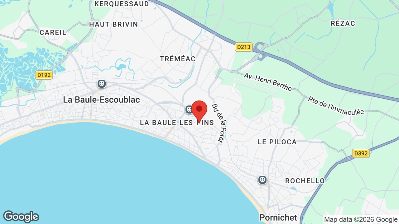Google map