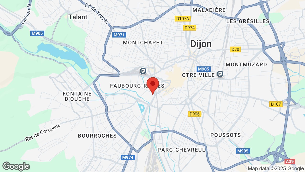 Google map