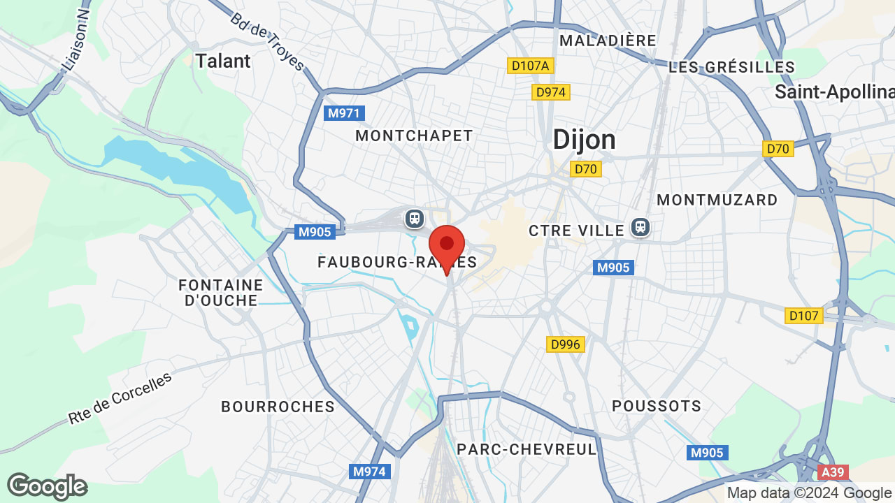 Google map