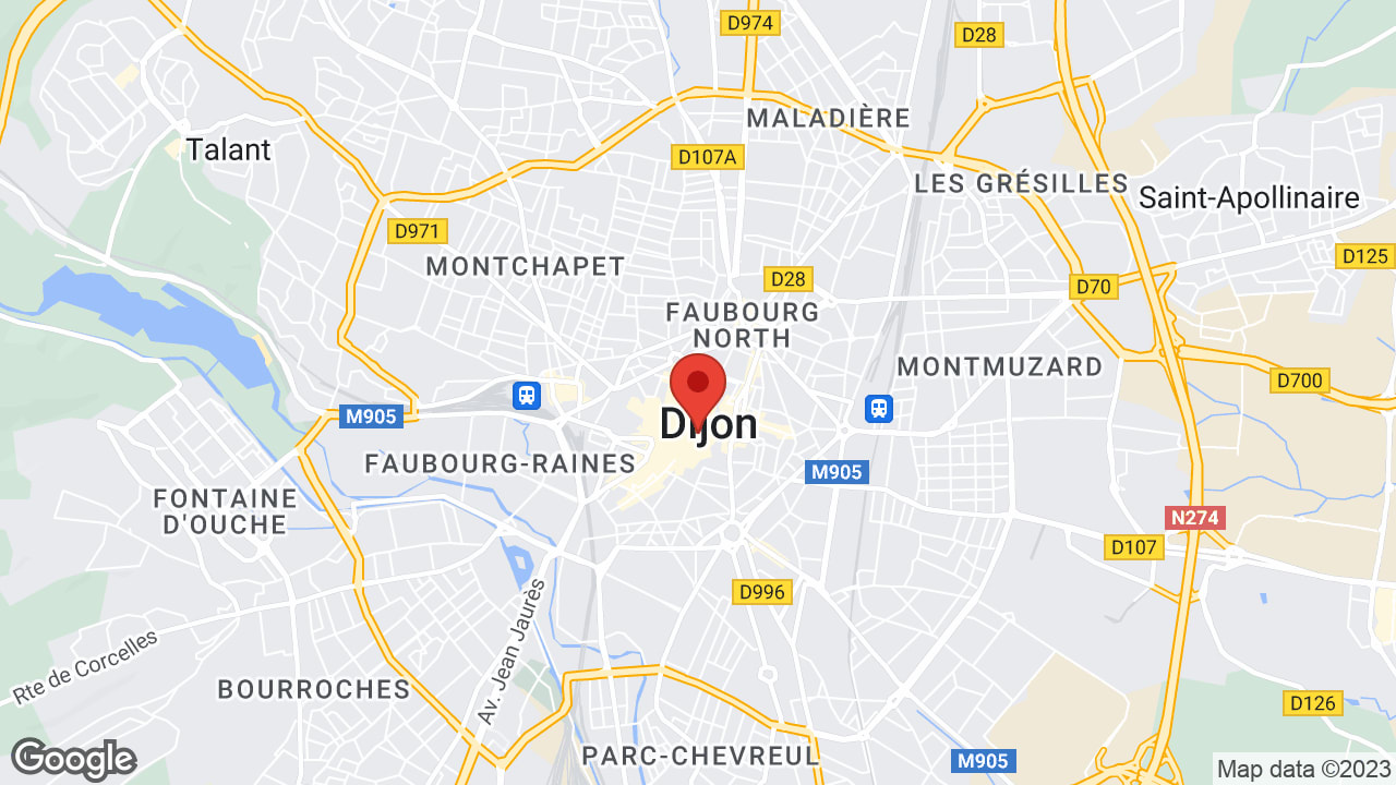 Google map