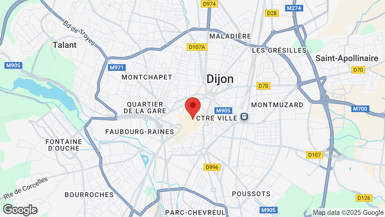 Google map