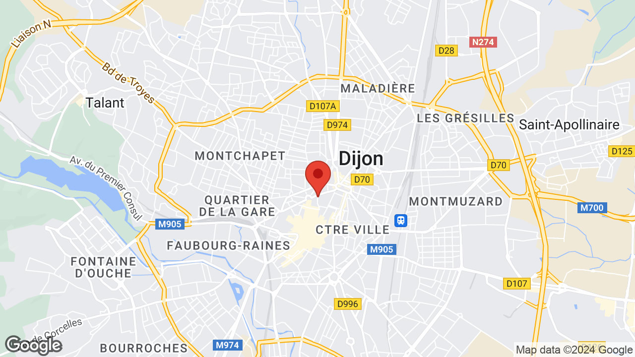 Google map