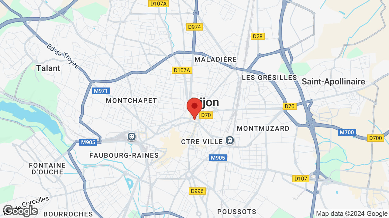 Google map