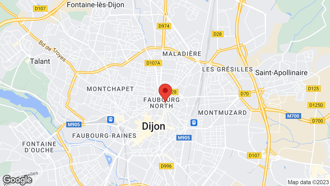 Google map