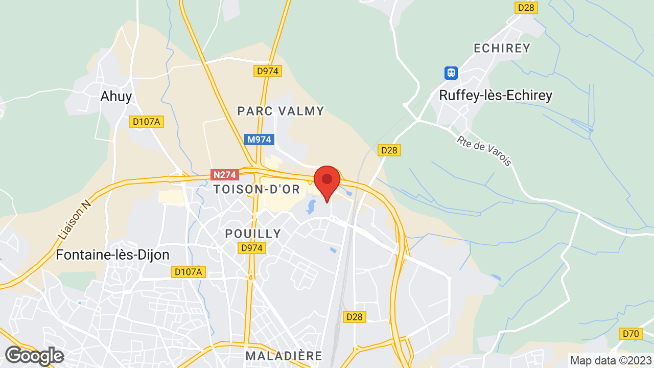 Google map