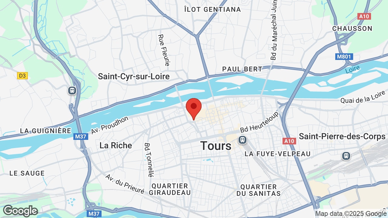 Google map
