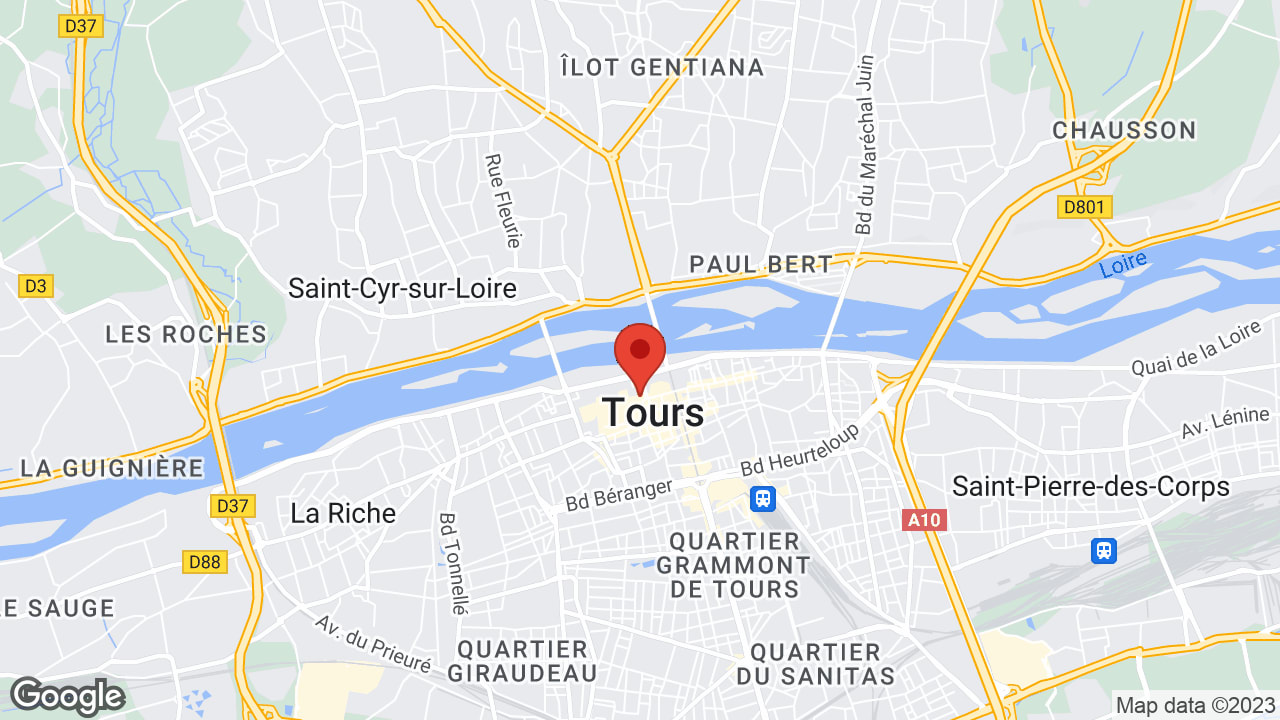 Google map