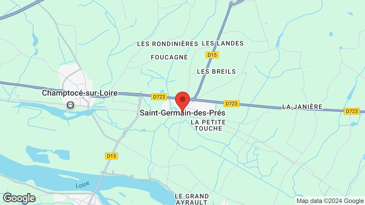 Google map