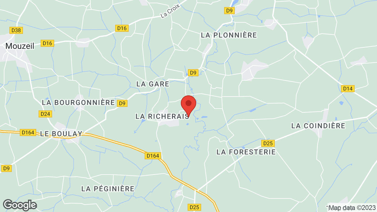 Google map