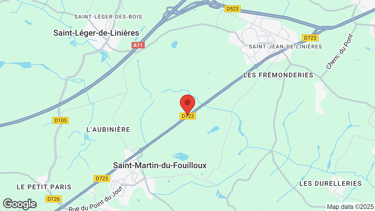 Google map