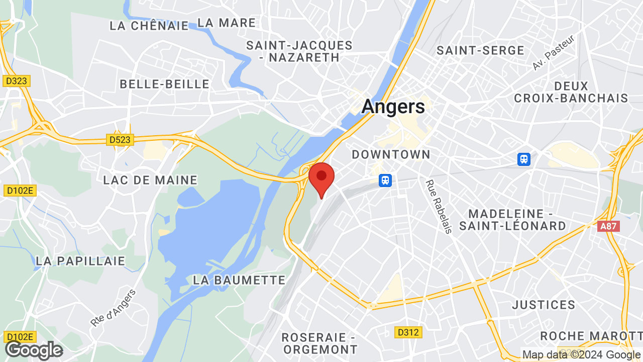 Google map
