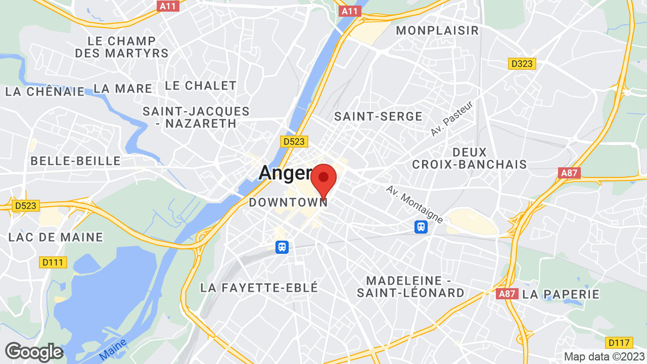 Google map