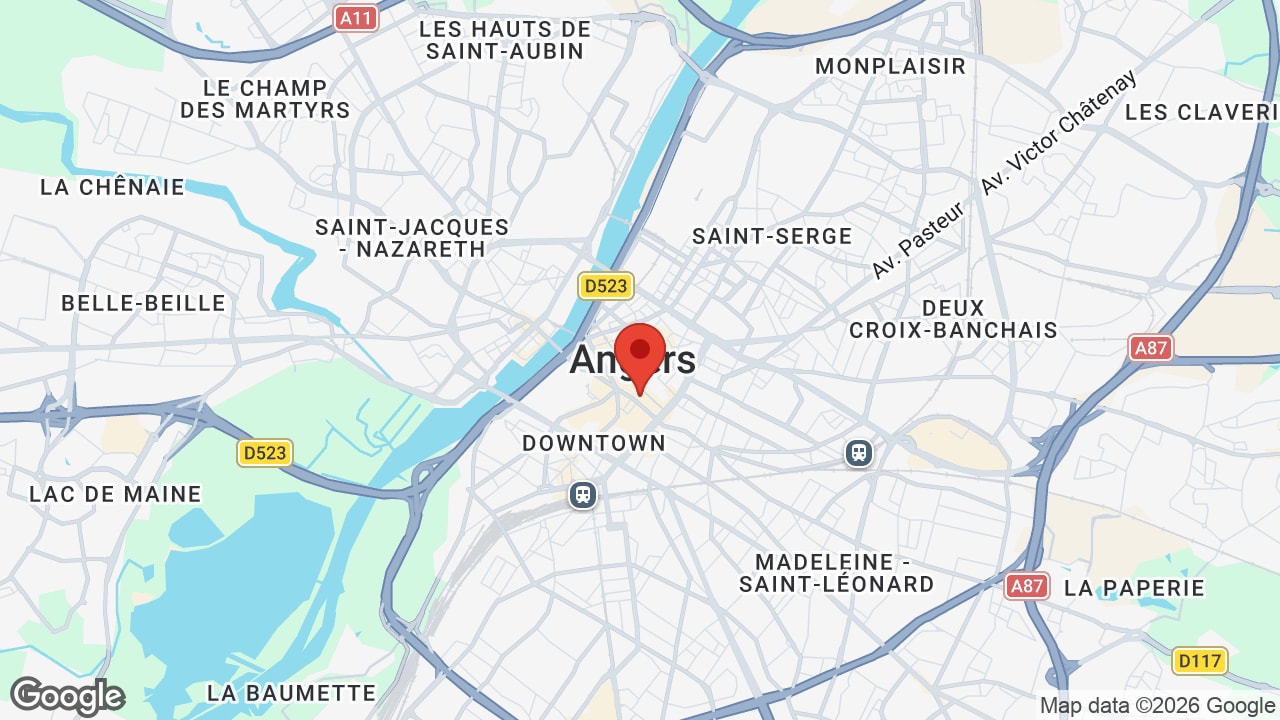 Google map