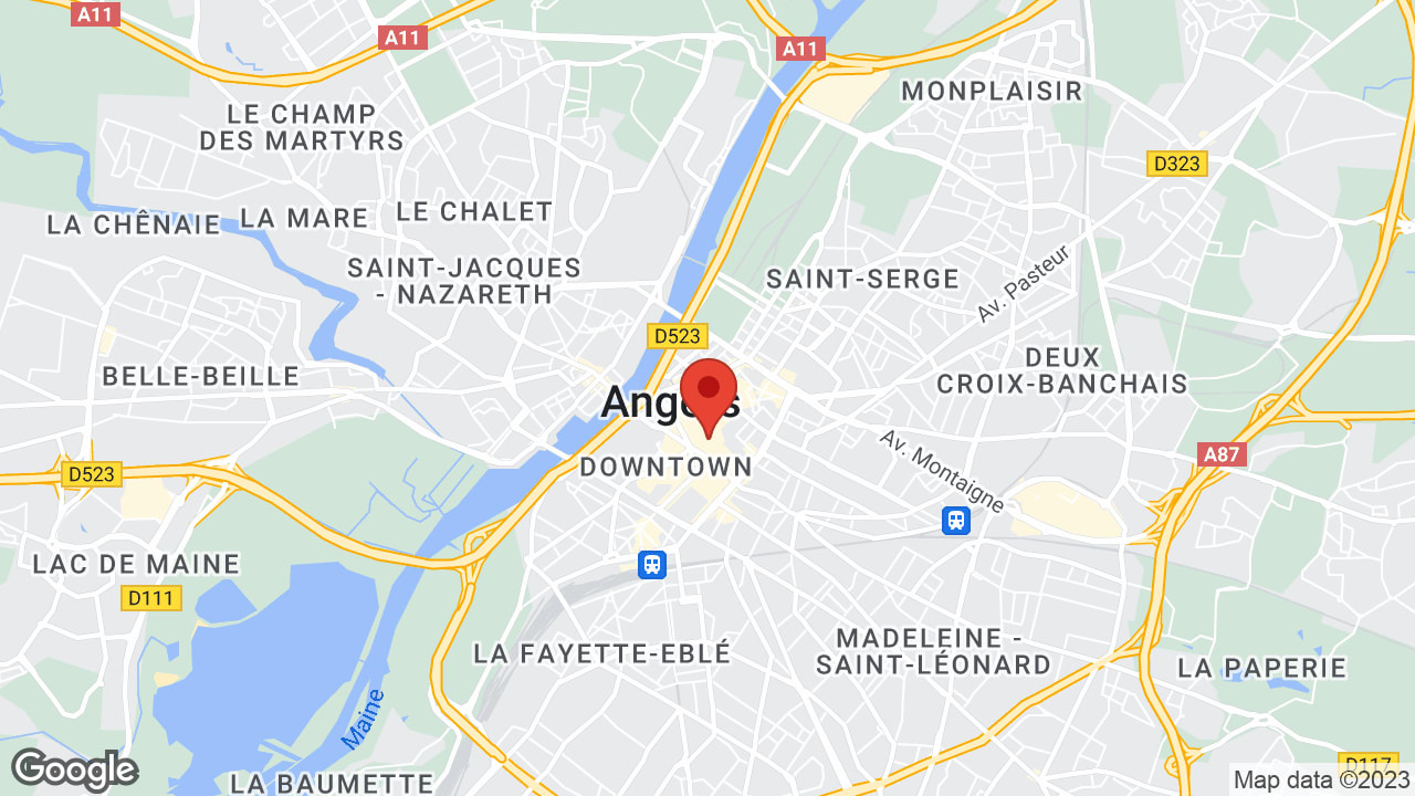 Google map