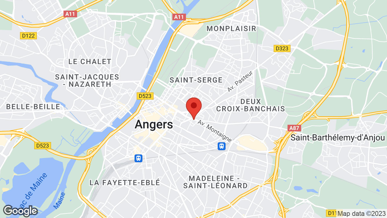 Google map