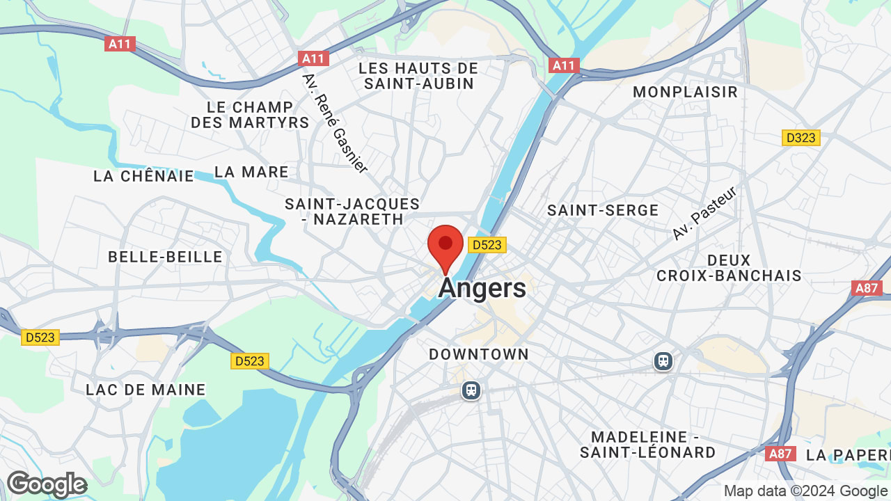 Google map